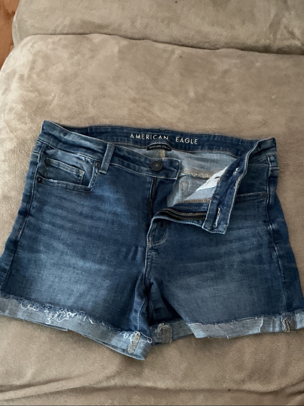American Eagle Outfitters Blue Distressed Denim Cutoff Shorts